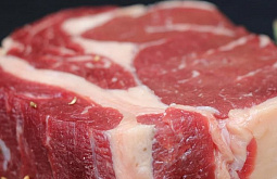 �� ������ � ������� ��������� 29 ���� ����������� ��������