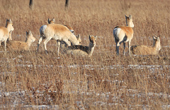 � ���������� ������� �� ��������� � �������