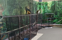 � ������� ��������� �������� �������� ��������������� 