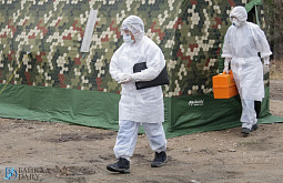 ������� ������� ������������ ������ � ���� �������� �������� 