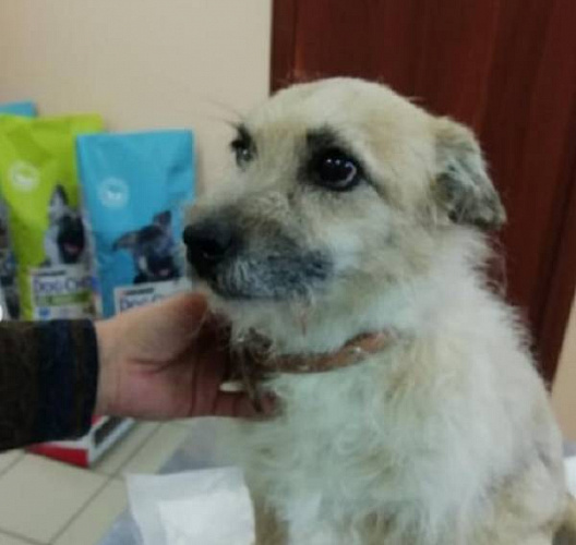 ������������ �������: ����-������ ����� ���� ������ ������ �������