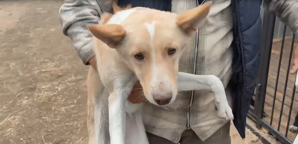 � ����-��� ������ ��������� �� ����� ��������