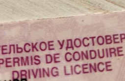 ������ ������� ������ �� ������� ���������� ������������ ���� 