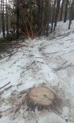 ����� ������� ��������� ������� � ��������� ������� 