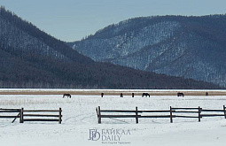 � ������� ��������� �� -13