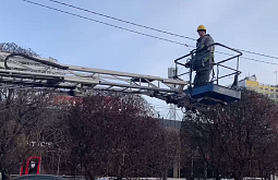 В центре Улан-Удэ скоро засияют яблони