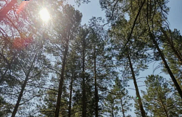 � ������� ������ ��� ��� ������� ��������, ���������� ��� �� 43 ��������