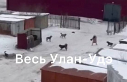 Землетрясение в ангарске