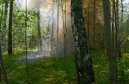 ���������� ������� �������� ������ �� ������ ����� �� �������