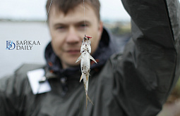 ������ ��������� ����� ���������� ������� (������������)