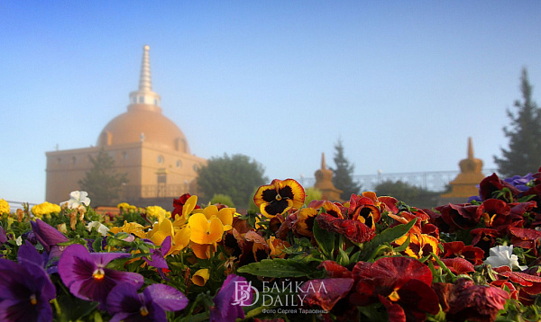 � ����� � ����-��� ������� ������ �� ������