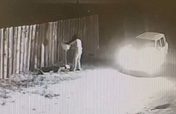 ������ ������� ������� ������ ����� �������, �� ��� �������� ��������  