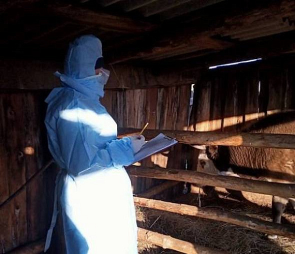 � ������� ������� �������� � ���� ����� ����