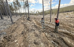 ���� ����-��� ���������� �� 5 ����� �������� 