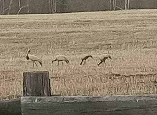 � ������� ������� �������� ������������� �������