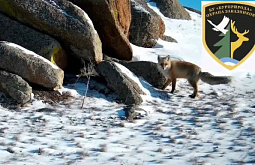 � ��������� ������� ����������� ������� ���� � ���������   