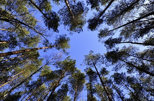 ������������� � ���� ������� ����� ��������� ������� 