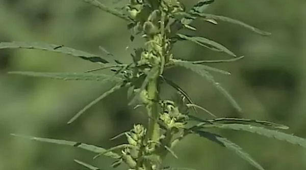 ������ ������� ������ ������� �� �������� ������