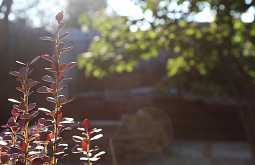 � ����-��� ���������� ����������� �� ��������������� ����������