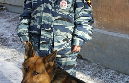 � �������� ������� ������ ������� �������� ������ ������������  