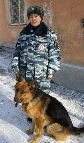 � �������� ������� ������ ������� �������� ������ ������������  