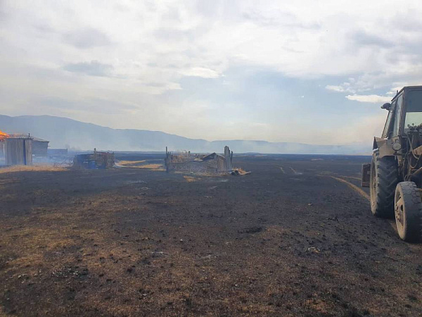 � ������� ����� ���� ����� ������ �����, �������� �������� ����� �����������  