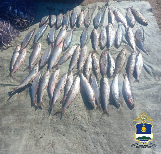 ������ ������� ����� ��� ��� �� ���������� ����� �����