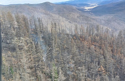 ������ ����� � ������� ����� ������ �����