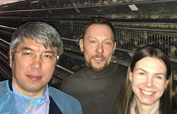 ������� ������� ������ ����� ������� ������� ��������