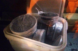 ������ ������ ���� ������ �� ����� � ��������