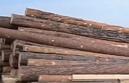 � ��������� ������� ���������� ����� ������ �� ����������� ���� �� 35 ��� 