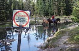В Бурятии возник скандал вокруг запрета лошадей в Шумаке 