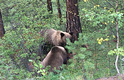 ������� � ������� ���������� �������� � ����