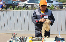 � ���������� ������ ����-��� ������� ������ �������� � ��������� 