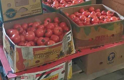 � �������� ���������� 219 �� ������� 