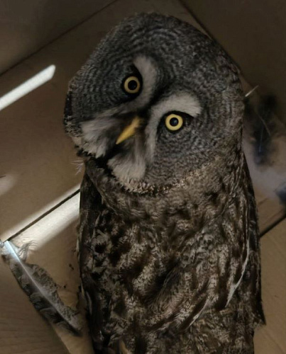 � ��������� ������� �� ��������� ������ ����� ������� ����