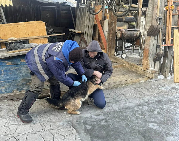 � ����-��� ������� ���� ������������ �����