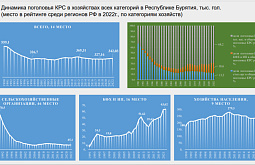 ������ ������� ����������� �������� ��������� ���� � ��� � �������� ������
