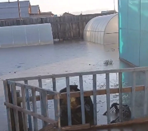 � ������� ������������ �������� ����������� ����