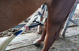 � ������� ����� ������ ���������, ��� ����� ������ �������