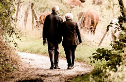 ��������� ������� ��������� ������� 