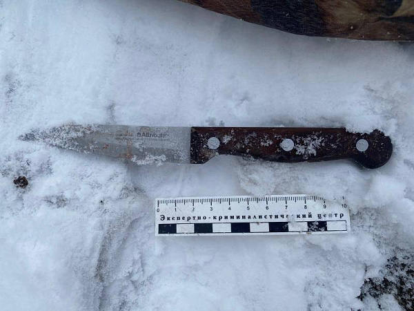 ������ ������� ������� ����� ������� ���� � ������ 