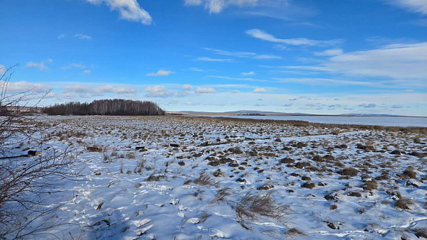 � ���������� ������ �������� ��������� �� ������ ����� � ����� 