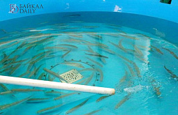 � ������� ���������� ������� ��������� � ������ ������ ����