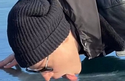 �� ���� ���� �����?�: ���������� ������ ���������� � ���������� ������, ����������� �������