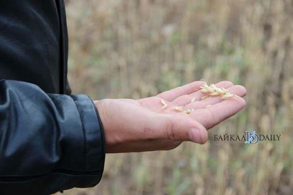 ����� ������� ������� �� ����� �� ��-�� ������ ������