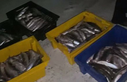 �� ������� ���������� �������� ����� �� 3,5 ��� ������ 