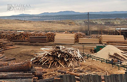 В Забайкалье в суд ушло дело о контрабанде леса на 1 млрд рублей