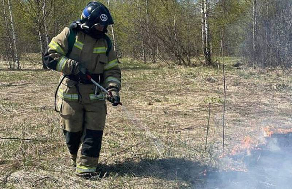 В Бурятии поджигатель травы устроил пожар на пилораме 
