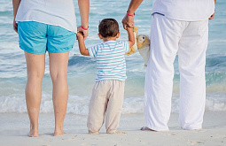 � ������� �������� ����������� ����